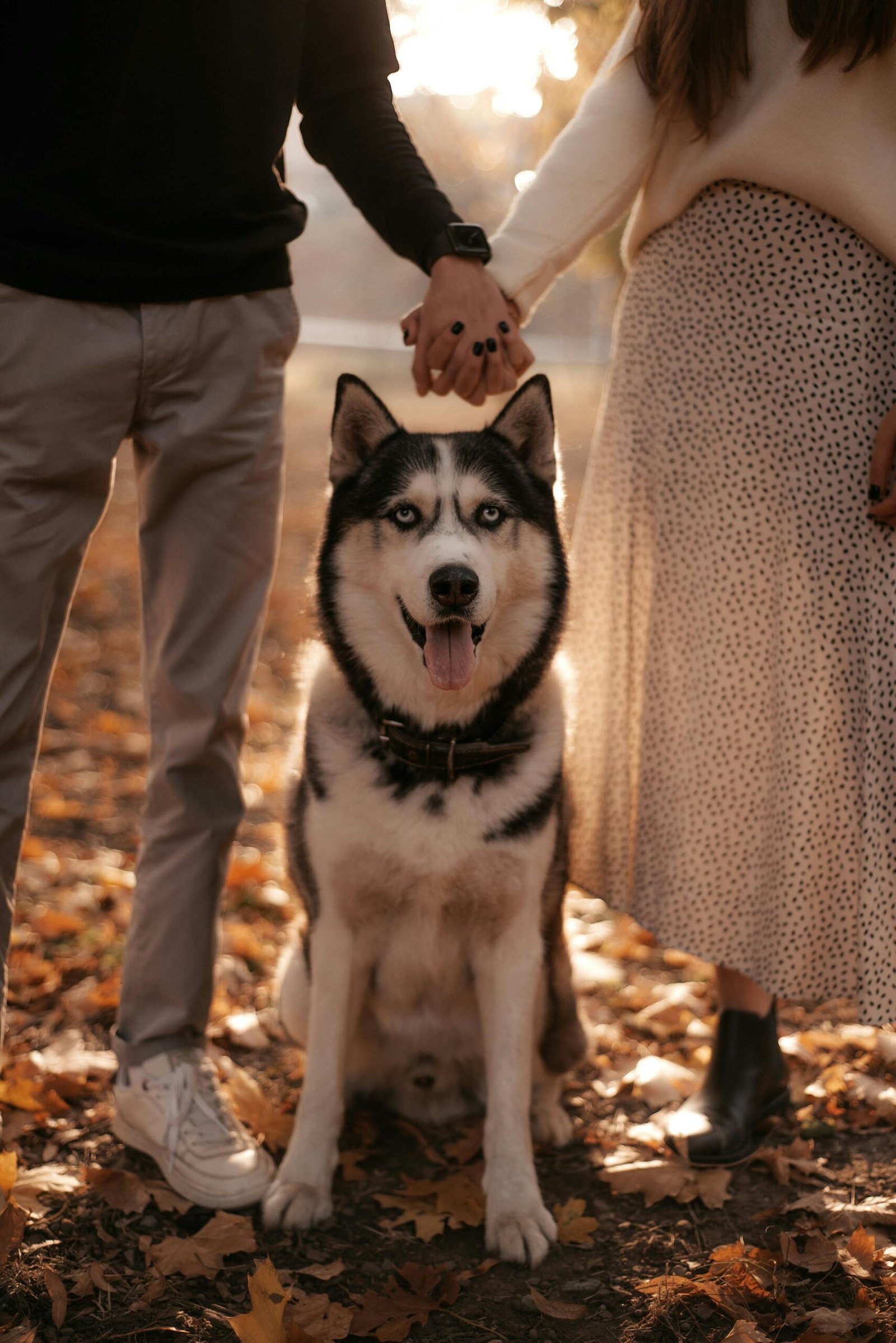 auto draft auto draft